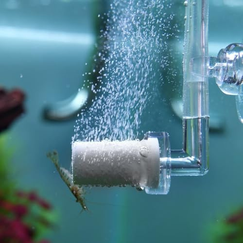 Diffuseur de CO2,Atomiseur de CO2 Acrylique avec Ventouse pour Plantes Aquatiques D'aquarium