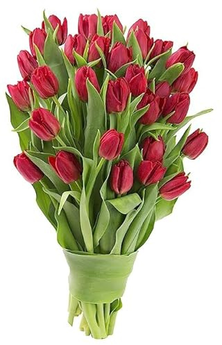 KaBloom Flowers - Valentine Collection - Bouquet of 20 Red Tulips Gift for Birthday, Sympathy, Anniversary, Get Well, Thank You, Valentine, Mother’s Day Flowers