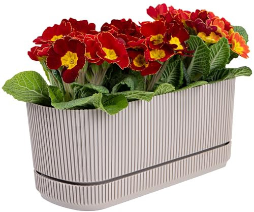 KONZEPT Blumenkasten klein für Balkon mit Untersetzer – 3L Balkonkasten aus wetterfestem Kunststoff, ideal für Fensterbank, Garten, Innen- & Außenbereich