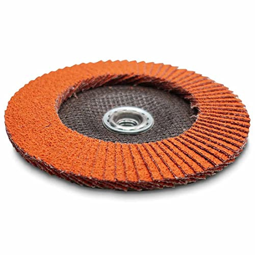RBG 785 Flap Wheel Grinding Disc