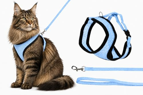 pettorina gatto - pettorina Harms blu con guinzaglio - mesh traspirante e chiusura clic - 37cm / 43-55cm / 120cm