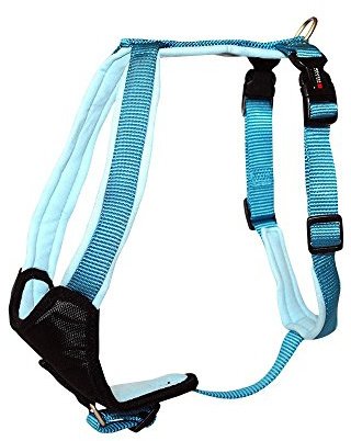 Wolters | Geschirr Professional Comfort in Aqua/Azur | Brustumfang 60 - 70 cm