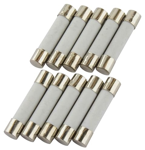 SeKi, confezione da 10 fusibili in ceramica, 2 A, 6 x 30 mm, fusibili in vetro, 250 V
