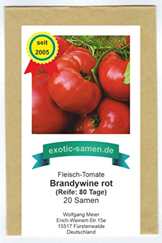 Eine alte, rote Fleischtomate mit dem ursprünglichen Geschmack - Brandywine rot - 20 Samen