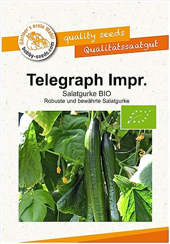 BIO-Gurkensamen Telegraph Improved Salatgurke Portion