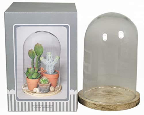 INNA-Glas Campana di Vetro SABIKA con Base in Legno marmorizzata, Trasparente, 22 cm, Ø 14 cm - Cupola in Vetro