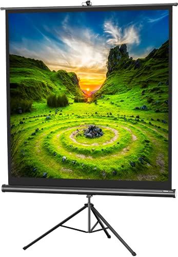 celexon Economy Stativ-Leinwand schwarz 90 | 158x158 cm 1:1 | mobil transportable 4K, Full-HD Beamerleinwand mit manuellem Rollauszug für Heimkino, Büro & Outdoor | inkl. Standfuß + Tragegriff