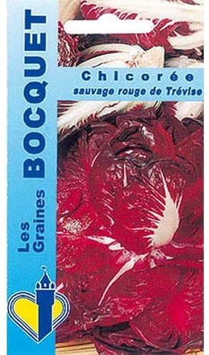Sachet de graines de Chicorée à large feuille Rosa di Treviso 2 (rouge de Trèvise) - 4 g - légume feuille - LES GRAINES BOCQUET