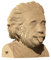Cartonic 3D-Puzzle Einstein aus recycelter Pappe, 172-teilig, geeignet für 14-99 Jahre, Fortgeschritten, Realistisch, unisex, Einstein, Umweltfreundlich, Einfache Montage