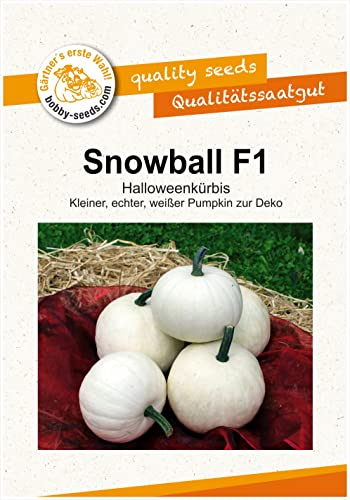 Kürbissamen Snowball F1 Portion von Bobby-Seeds