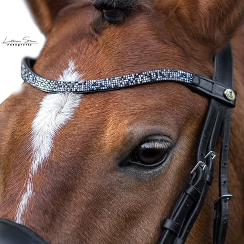 CALEVO - geschwungener Stirnriemen Twinkle