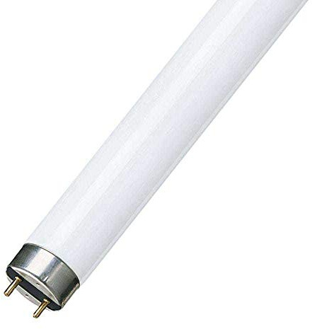 F58W 5FT T8 Fluorescent tube 840 - cool white