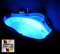 Supply24 since 2004 Whirlpool Badewanne Paris – Made in Germany – Eckmontage (130x130 cm) – 8 Massagedüsen & LED Farblichttherapie – ohne Armaturen – Eckwanne für 2 Personen