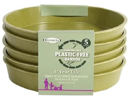 Garden Bamboo Seed Trays Pots & Saucers Sage Green or Terracotta indoor outdoor Greenhouse Compostable Bamboo Fibre Plastic Free 5 Year life (6 Sage Green Saucers)