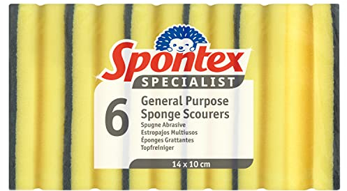 Spontex Éponges à récurer Specialist | XL | Résistantes à l’Usure et polyvalentes pour Le Nettoyage Professionnel | Paquet de 6