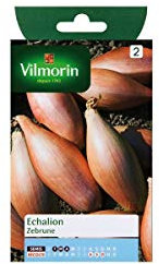 Vilmorin - Sachet graines Echalion Zebrune