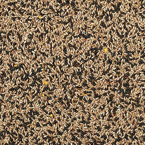 Johnson & Jeff Canary Seed - 1kg
