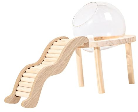 perfk Klares Glas Terrarium Behälter Holzbasis, transparentes Glas Sandbad, Hamster -Sandbad für Mäuse, S
