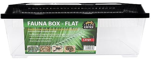 Terra Exotica Fauna Box Flat Transportbox für Reptilien, Amphibien, Insekten, Mäuse - Zuchtbox für Heimchen und Grillen - Faunarium (Large - 45x30x17 cm)