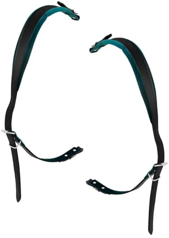 Alipis Sangle pour Accordéon en Similicuir Vert Réglable, Compatible 16 à 120 Basses, Bandoulière Confort pour Instrument de Musique, Ceinture D’entraînement Légère