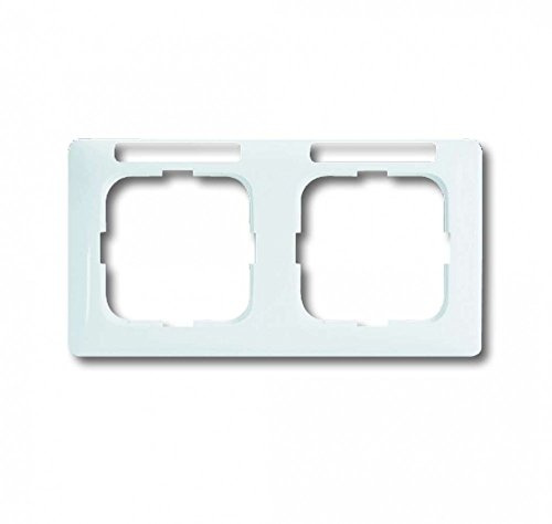 Busch-Jaeger, 1732NSKA-214, Telaio 2 moduli, lineare trasparente, orizzontale