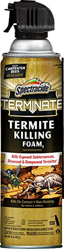 Spectracide Terminate Termite Killing Foam 16 Ounces, For Indoor And Outdoor Use