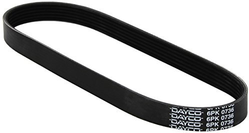 DAYCO 6PK736 CINGHIA POLY-V COM.A.S NISSAN BLUEBIRD