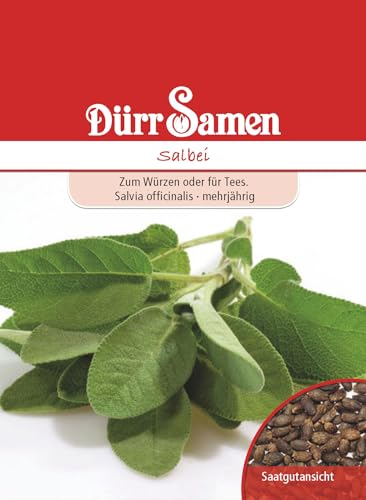 Dürr-Samen - Salbei Saatgut
