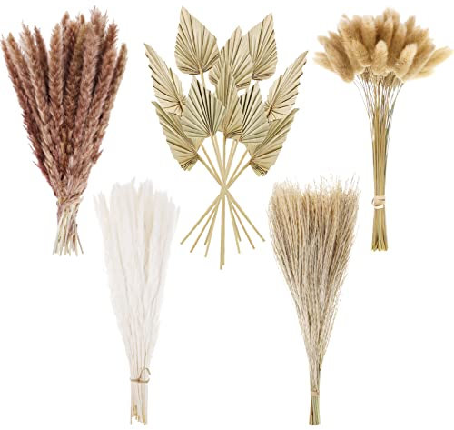 Fuyamp 110pcs Dried Pampas Grass Decor, Natural Color Bunny Tails Grass Fluffy Pampas Grass Small Stems Dried Flowers Bouquet Palm Fan Palm Spears Plant for Vase, Cake, Wedding Décor