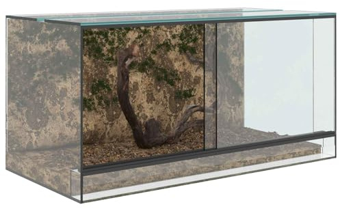 vidaXL Terrario Transparente 80 x 40 x 40 cm Cristal, Terrario de Vidrio Moderno, Refugio Resistente, hábitat 360°, hogar Transparente para Animales