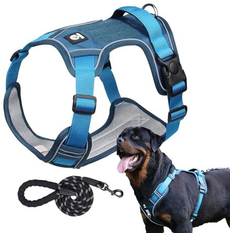 usefulbeauty Hundetrainingsgeschirr, Hundegeschirr für große Hunde,Atmungsaktives, zugfreies Haustiergeschirr, verstellbares Hundegeschirr | Flexibles Hunde-Zuggeschirr, Hundegeschirr-Halsband-Set zum