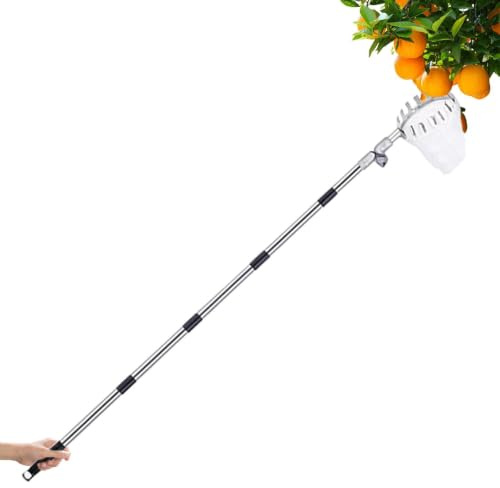 Recolector de Frutas de Árbol Recogedor de Acero Inoxidable Antioxidante
