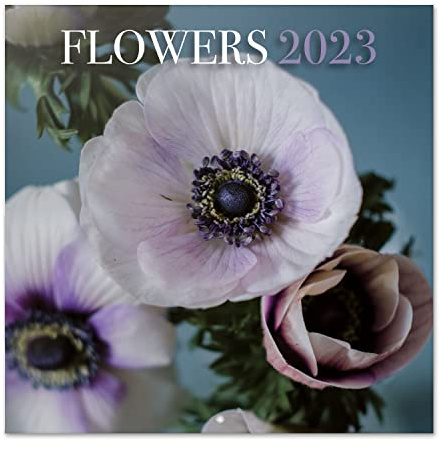 Grupo Erik - Calendrier Mural 2023 Flowers - 12 MOIS | Janvier 2023 à Décembre 2023 | 30 x 60 cm, Certifié FSC, Calendrier Mensuel en Français