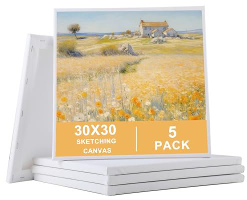 Leinwand Set – 5er Set Keilrahmen Leinwand mit Leeren Leinwand Keilrahmen 30x30 cm aus 100% Baumwolle Geeignet für Acryl ölfarben Anfänger Studentin Künstlerin