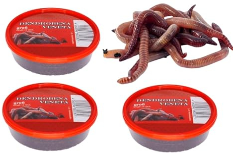 Dendrobena Regenwurm Rotwurm Würmer Groß ca. 45 Stück 3 Dosen Lebendfutter, Angelköder, Haustierfutter, Reptilienfutter