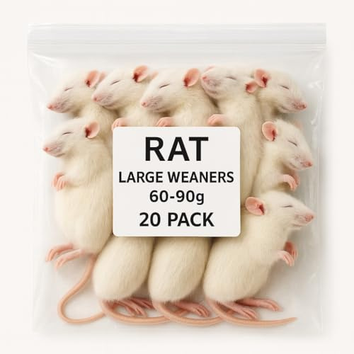 Frozen Large Weaner Rats – 20 Pack (60–90g Each) | Premium Whole Prey for Snakes, Reptiles & Birds of Prey | Clean Individually Frozen Feeder Rats | Adult Animal Feed | Value Multi-Pack