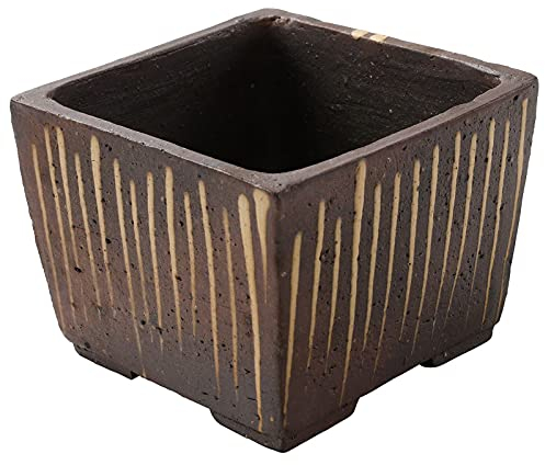 Wazakura Maceta Cuadrada de Bonsái Pequeña Hecha a Mano con Agujero de Drenaje (105mm) Hecha en Japón, Macetero Decorativo de Flores - Marrón a Rayas