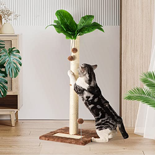 Leisuremix Kratzsäule für Katzen, Kratzstamm XXL 80cm hoch, Katzenkratzbaum für Kätzchen, grüner Kratzbaum modernes Design für große Katzen