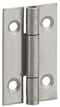 THIRARD - Charnière de Porte de Meuble - Inox 309 - Simple Feuille Acier Décapé - Nœud Roulé - Compatible Portes Légères - Accessoire Pratique - 40 x 25 mm - Gris