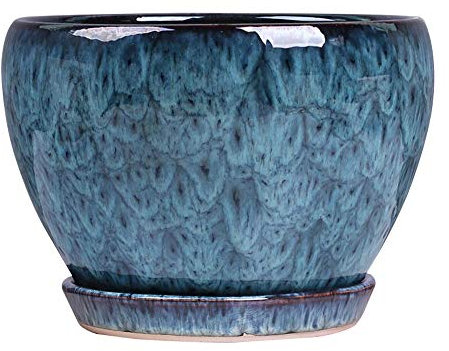 Pot de fleurs en céramique de style européen pour plantes d'extérieur, pot de fleurs Clivia créatif en bleu paon, grande décoration d'intérieur chinoise pour plantes en pot chlorophytum vert (petite