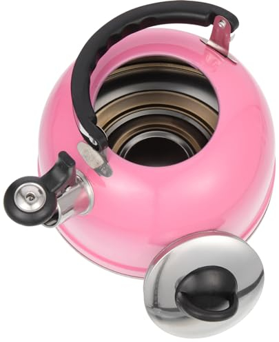 Bouilloire Pour Cuisinière À Bouilloire De Camping Sifflet En Acier Inoxydable