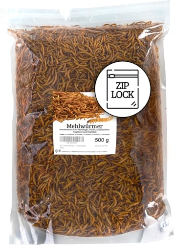 UGF - Premium Mehlwürmer 500g, Druckverschlussbeutel, Insektensnack für Vögel, Hamster, Igel, Nagetiere, Eidechsen, Schildkröten - Universalfutter