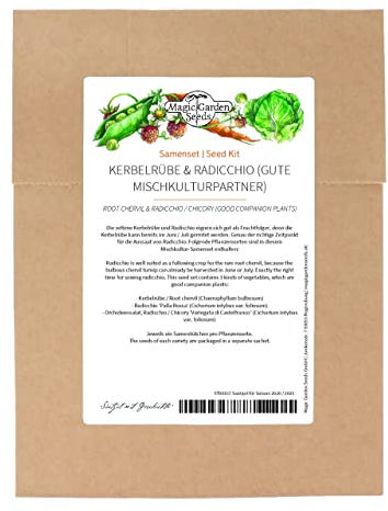 Chervil rova & radicchio - fröuppsättning med 3 bra planteringspartners i blandad odling