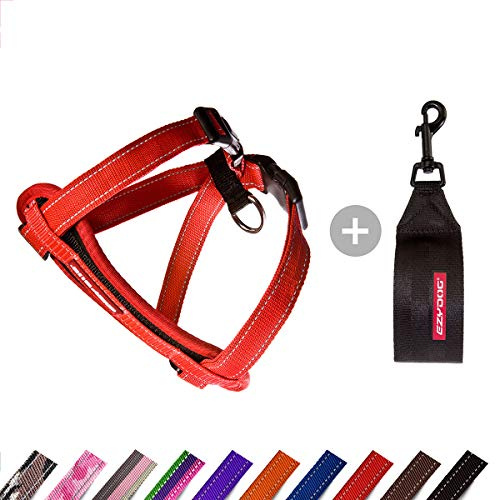 EzyDog Adjustable Chest Plate Harness - Small, Medium, XL, & Large Dogs - Step-In, No Pull, Comfort Soft-Touch, Reflective, Durable - for Active Pets