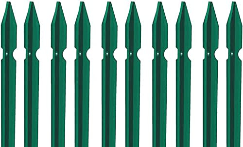 10 PZ Palo paletto in ferro a T 30x30x3 mm plastificato verde per rete recinzione metallica TUTTE LE MISURE - MADE IN ITALY (H 175 cm)