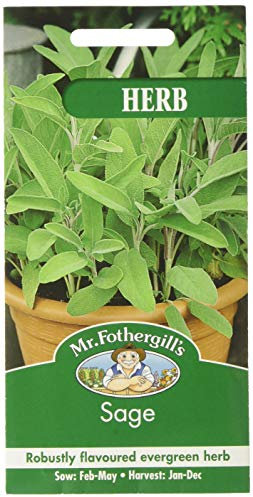 Mr Fothergills 25591