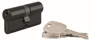 Cylindre Std Double Entrée, 30x40 mm, Anti-Arrachement, Noir, 3 Clés, Profil Européen Laiton, Mécanisme à 5 Goupilles, Panneton Anti Arrachement, Idéal pour Installation Provisoire, THIRARD