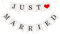 MEJOSER Just Married Bandiere Ghirlanda Striscione Bunting Banner Bandierine Decorazione Matrimonio Auto Nozze Fotografia