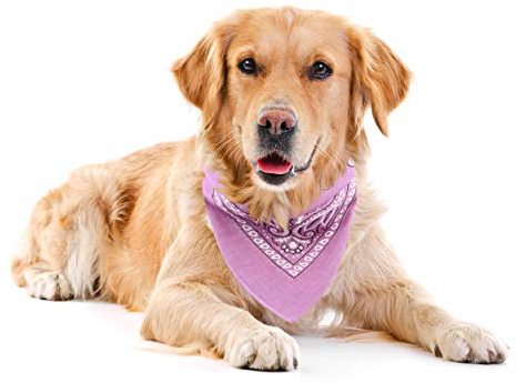 Oramics Hundehalstuch Baumwolle Gemustert verstellbar zum Binden - Hunde Bandana 54x54 cm auch als Dreieckstuch 54x54x76cm - Halstuch Schal als Kälteschutz und modisches Schmuck Tuch (Rosa)