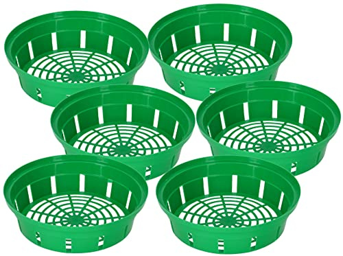 KOTARBAU® Set 6 Pezzi Cestino per Bulbi - ⌀ 260 mm - Verde - Cesto Piantabulbi - Cestino Rotondo in Plastica per Bulbi